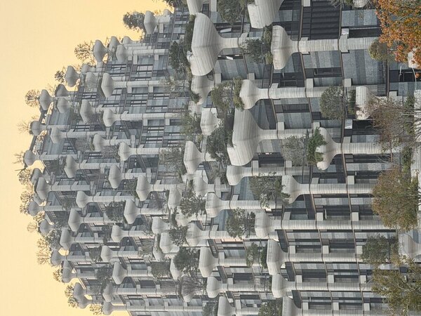 Photograph Ingrida Kuznecova 1000 Trees House on One Eyeland
